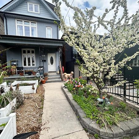 Garden Oasis Villa Toronto Exterior photo