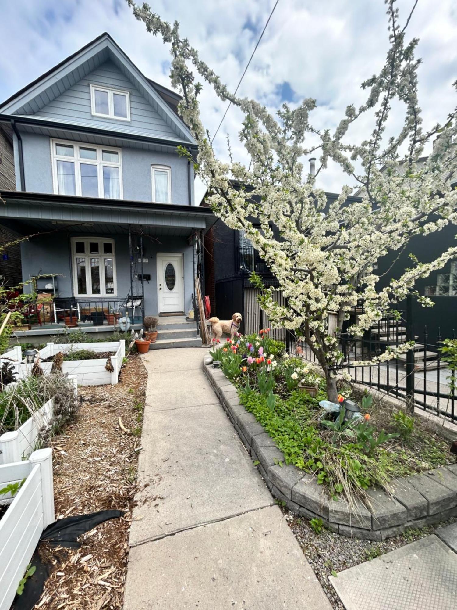 Garden Oasis Villa Toronto Exterior photo